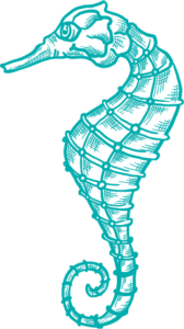 Ikona mořský koník 2